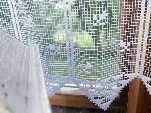 LAMBREKIN/ZAZDROSTKA KORONKA  344240  (cena za 0,50mb)