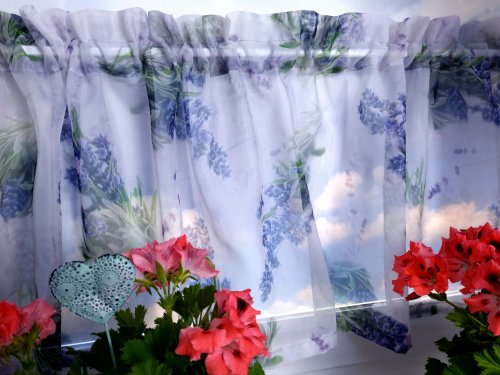 Zakostyl zazdrostka woal lawenda 150/40cm