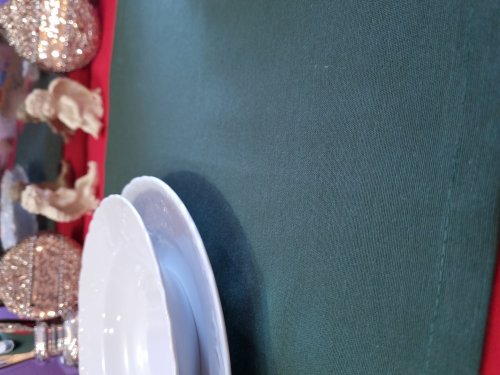 TKANINA DEKORACYJNA BUTELKOWA ZIELEŃ HISZPAŃSKA TKANINA SZER.140cm/280CM 