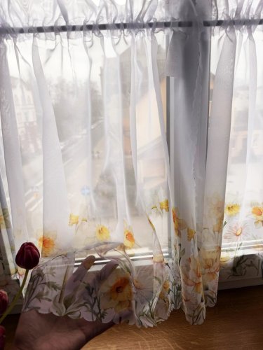 ZAZDROSTKA WOAL WIOSENNA POLANA 40CM/60CM