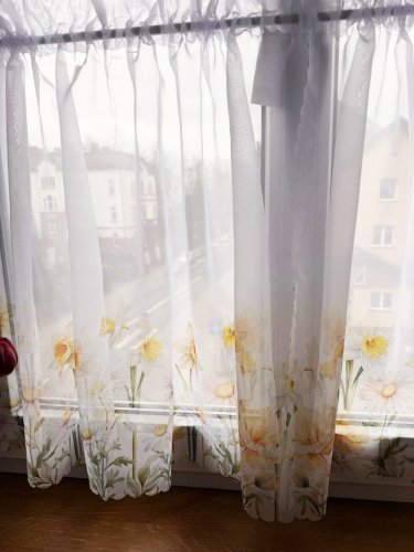 ZAZDROSTKA WOAL WIOSENNA POLANA 40CM/60CM