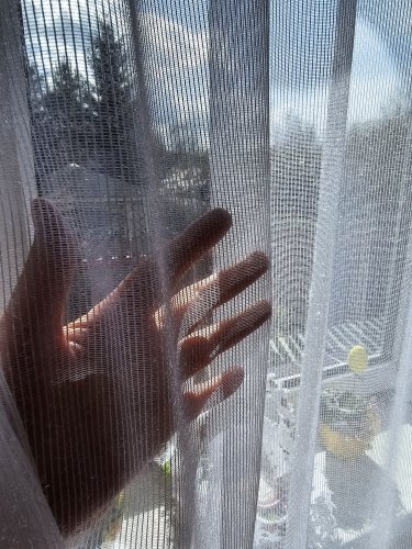 FIRANA CASABLANCA BŁYSK TŁO DIAMENT OŁ. 320CM