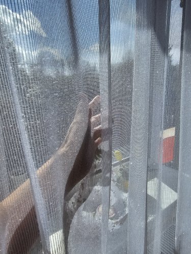 FIRANA CASABLANCA BŁYSK TŁO DIAMENT OŁ. 320CM