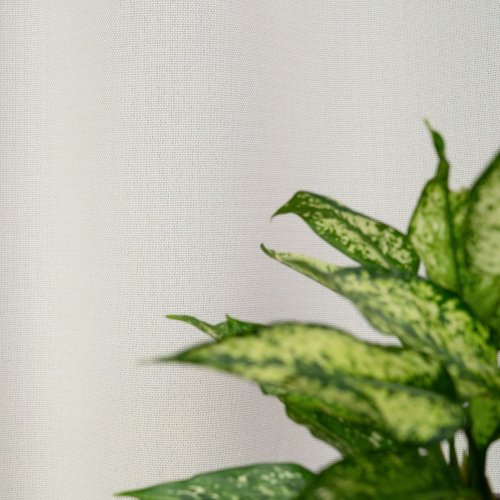 ZASŁONA O STRUKTURZE LNU ZACIEMNIAJĄCA JASNY KREM